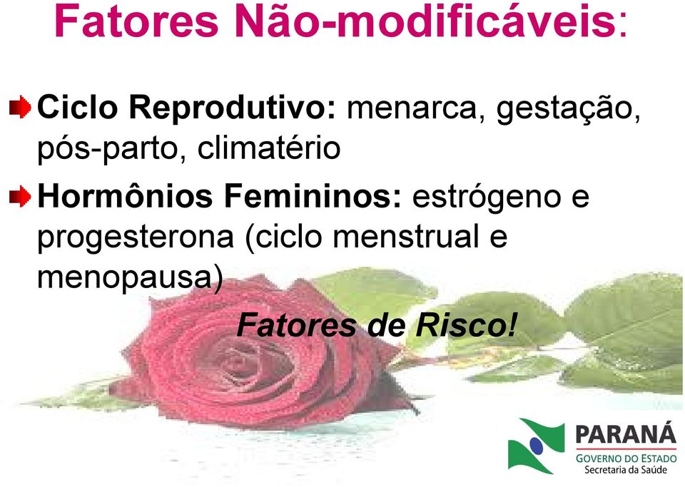 Hormônios Femininos: estrógeno e