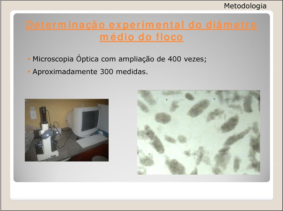 floco Microscopia Óptica com