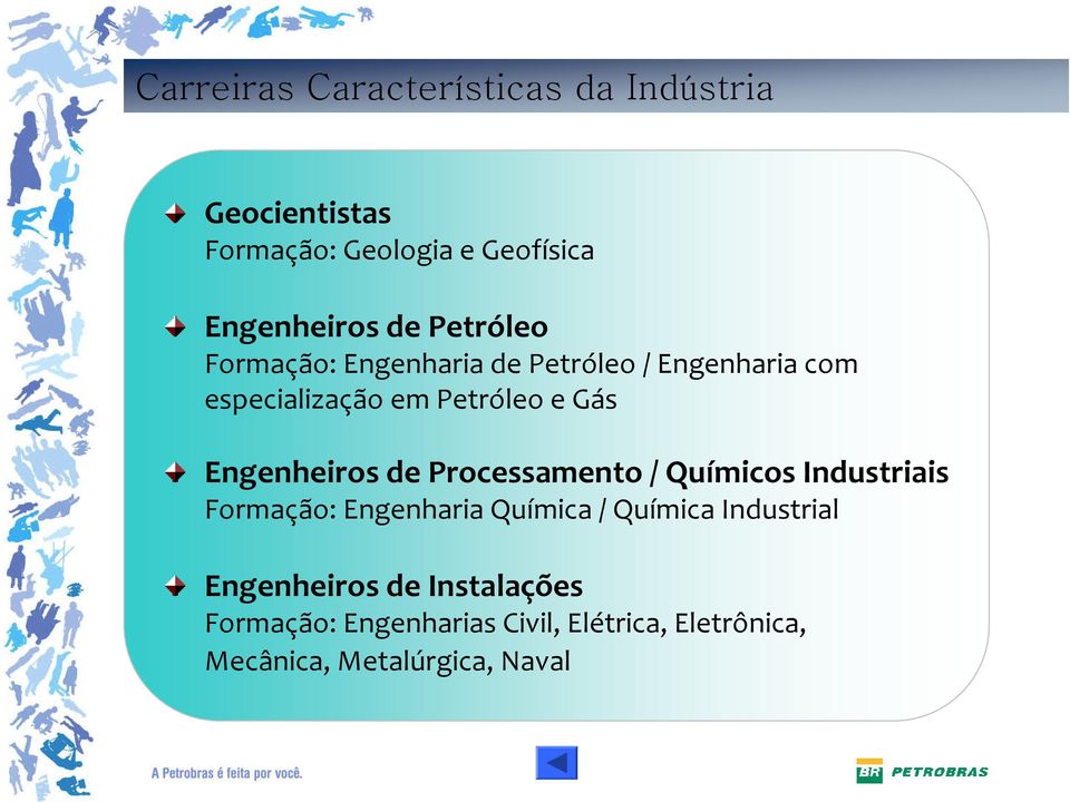 Engenheiros de Processamento / Químicos Industriais Formação: Engenharia Química / Química