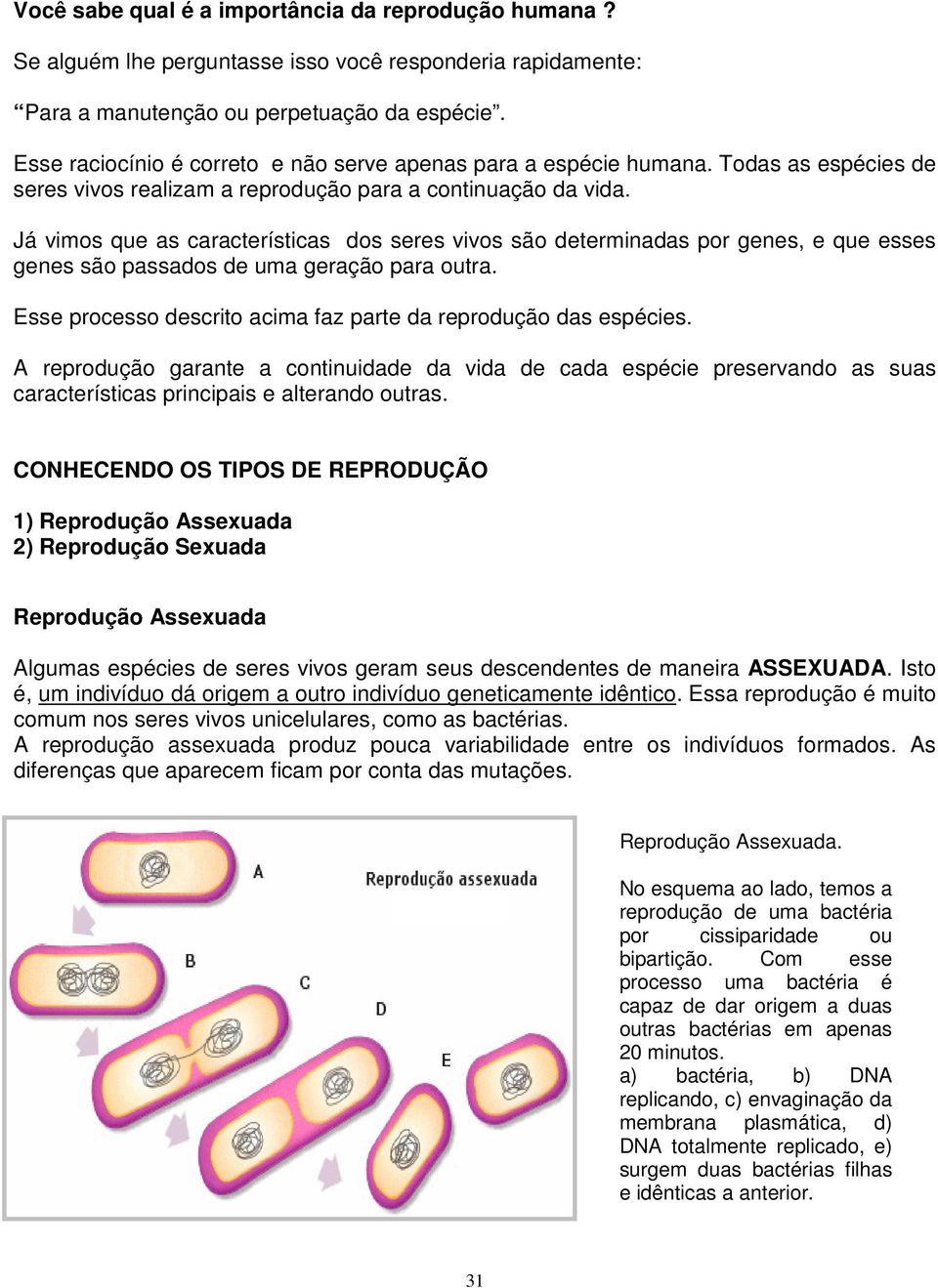 Já vimos que as características dos seres vivos são determinadas por genes, e que esses genes são passados de uma geração para outra. Esse processo descrito acima faz parte da reprodução das espécies.