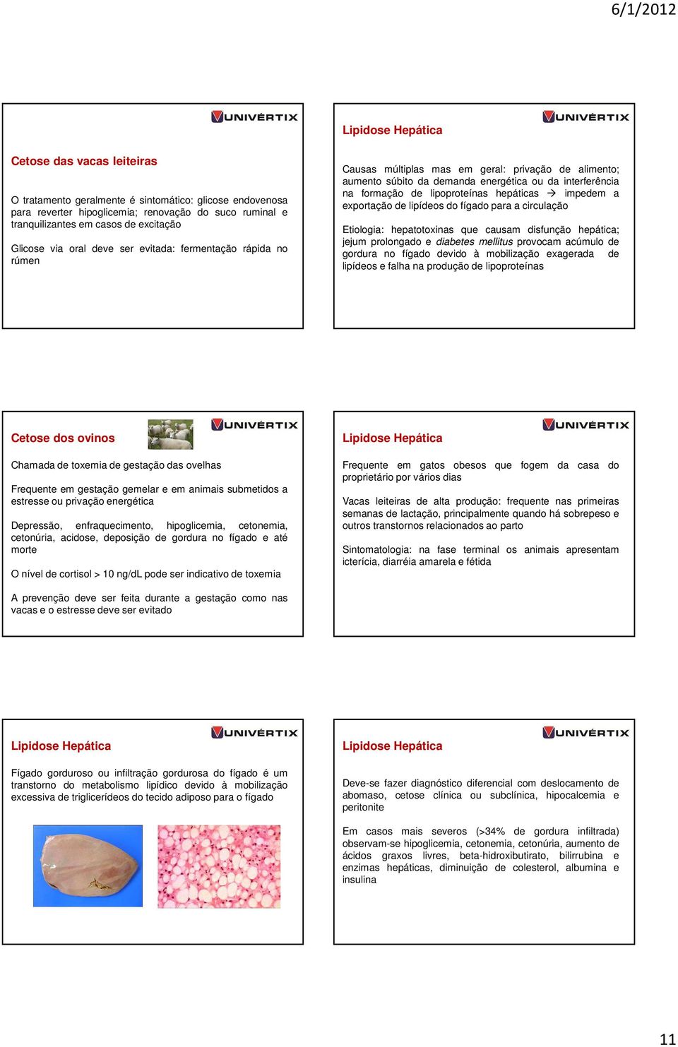 exportação de lipídeos do fígado para a circulação Etiologia: hepatotoxinas que causam disfunção hepática; jejum prolongado e diabetes mellitus provocam acúmulo de gordura no fígado devido à