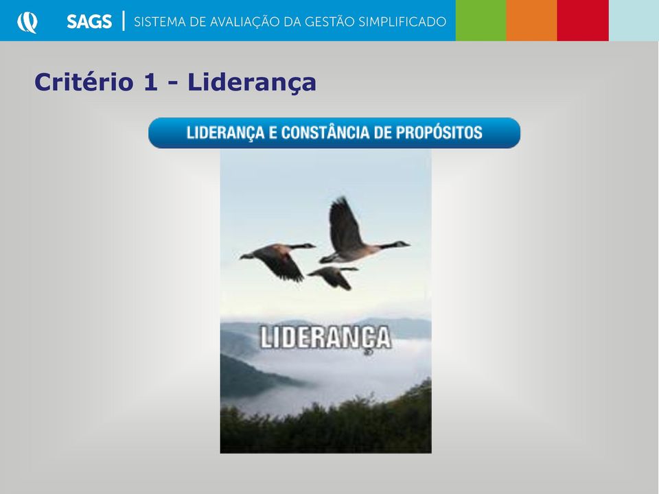 Liderança