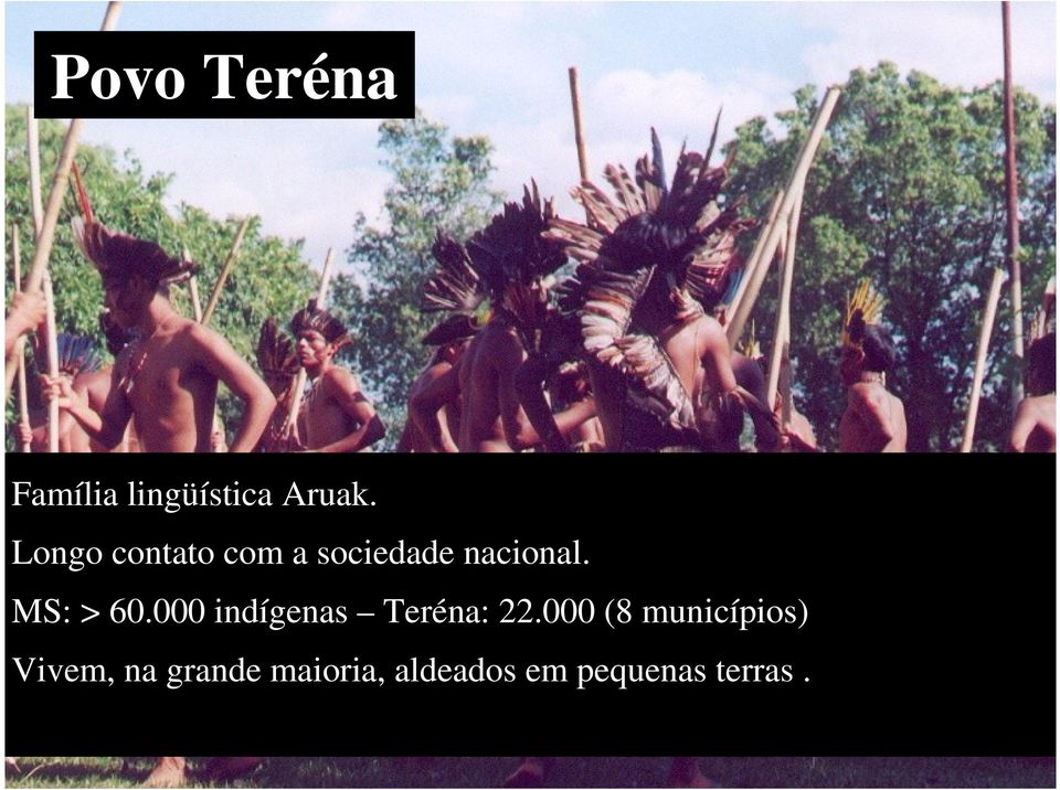 MS: > 60.000 indígenas Teréna: 22.