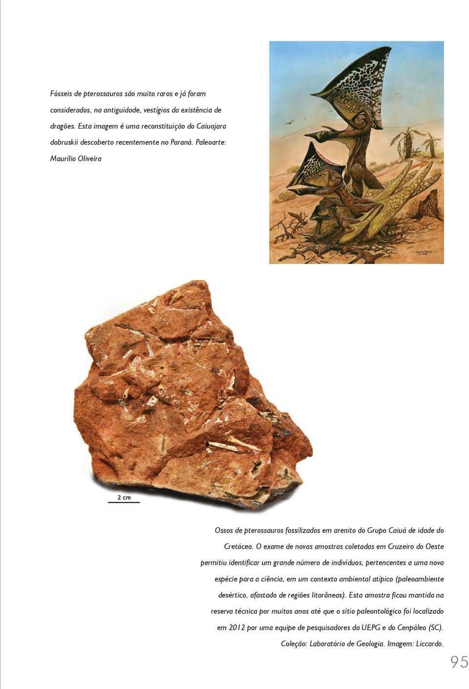 Paleoarte: Maurílio Oliveira Ossos de pterossauros fossilizados em arenito do Grupo Caiuá de idade do Cretáceo.