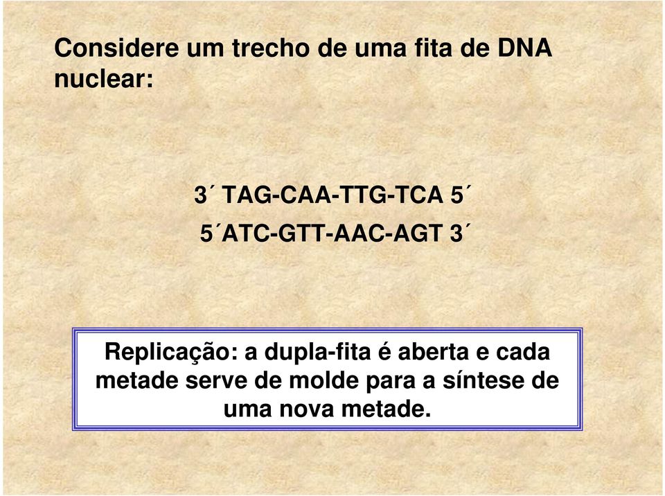 3 Replicação: a dupla-fita é aberta e cada