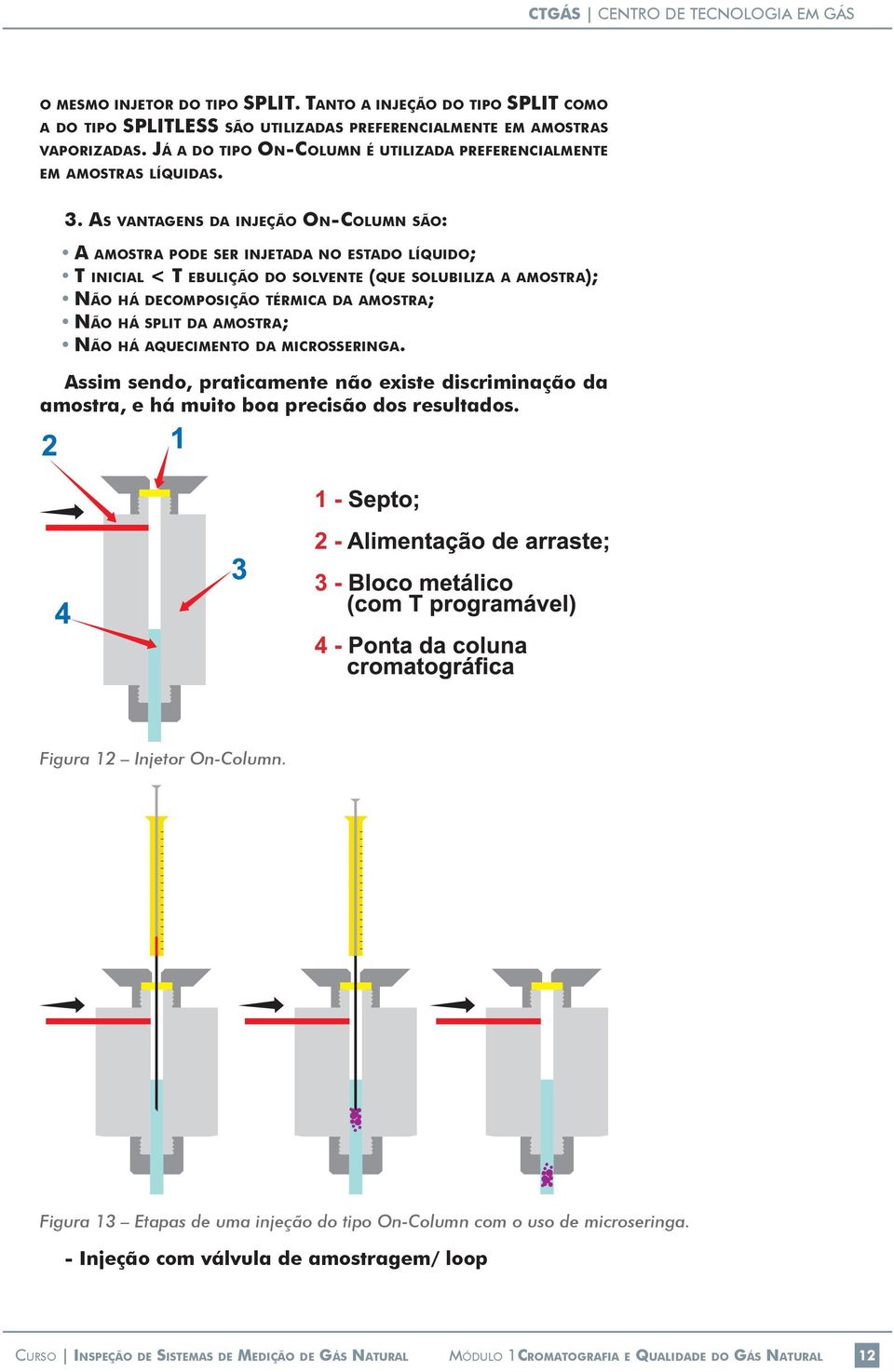 as VaNtageNs da injeção on-column são: a amostra pode ser injetada No estado líquido; t inicial < t ebulição do solvente (Que solubiliza a amostra); Não há decomposição térmica da