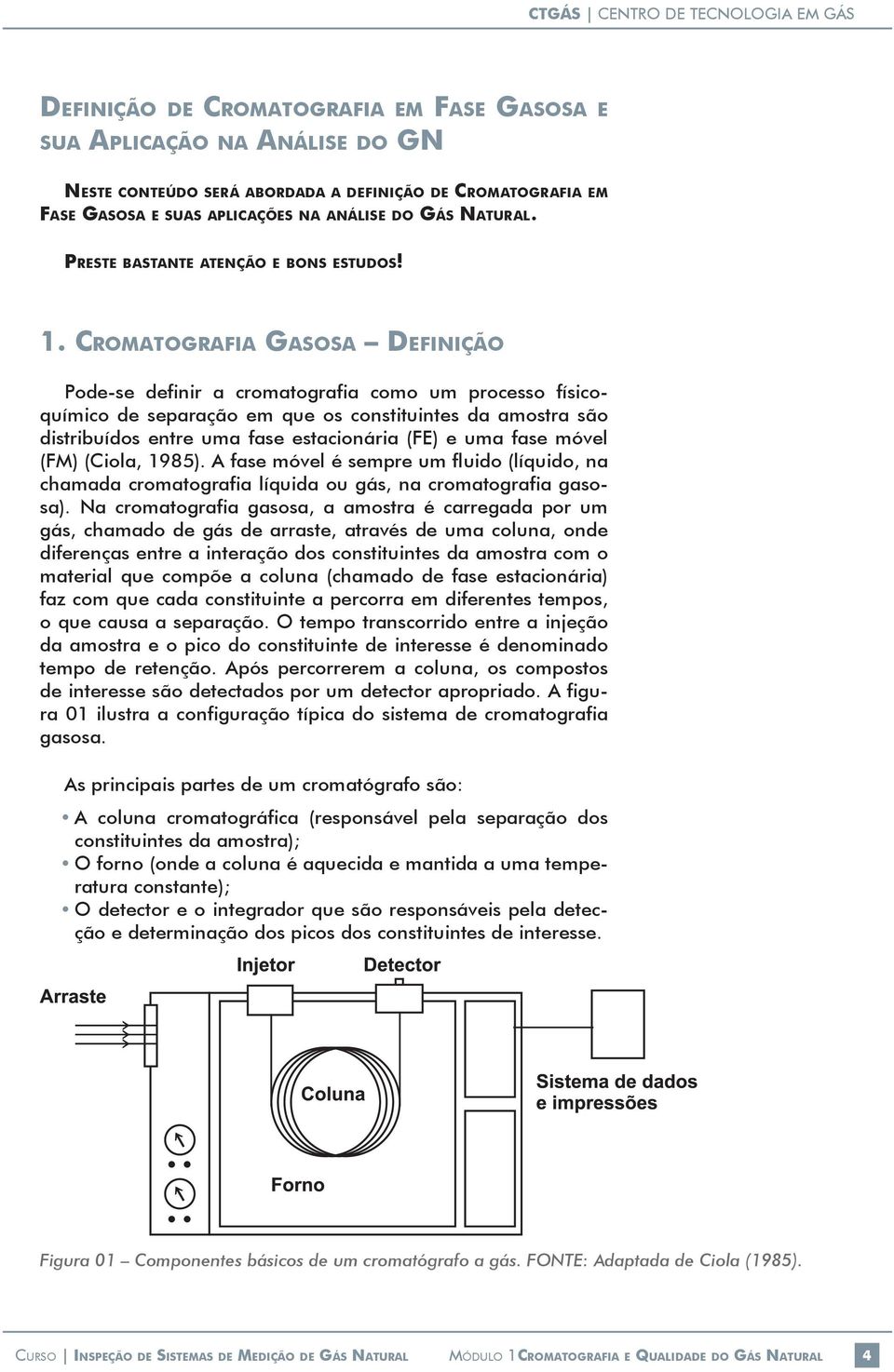 Cromatografia gasosa definição Pode-se definir a cromatografia como um processo físicoquímico de separação em que os constituintes da amostra são distribuídos entre uma fase estacionária (FE) e uma