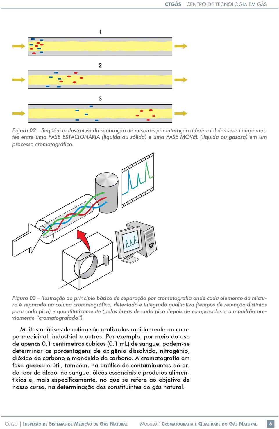 Figura 03 Ilustração do princípio básico de separação por cromatografia onde cada elemento da mistura é separado na coluna cromatográfica, detectado e integrado qualitativa (tempos de retenção