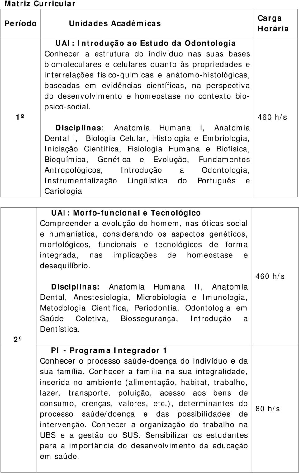 Disciplinas: Anatomia Humana l, Anatomia Dental l, Biologia Celular, Histologia e Embriologia, Iniciação Científica, Fisiologia Humana e Biofísica, Bioquímica, Genética e Evolução, Fundamentos