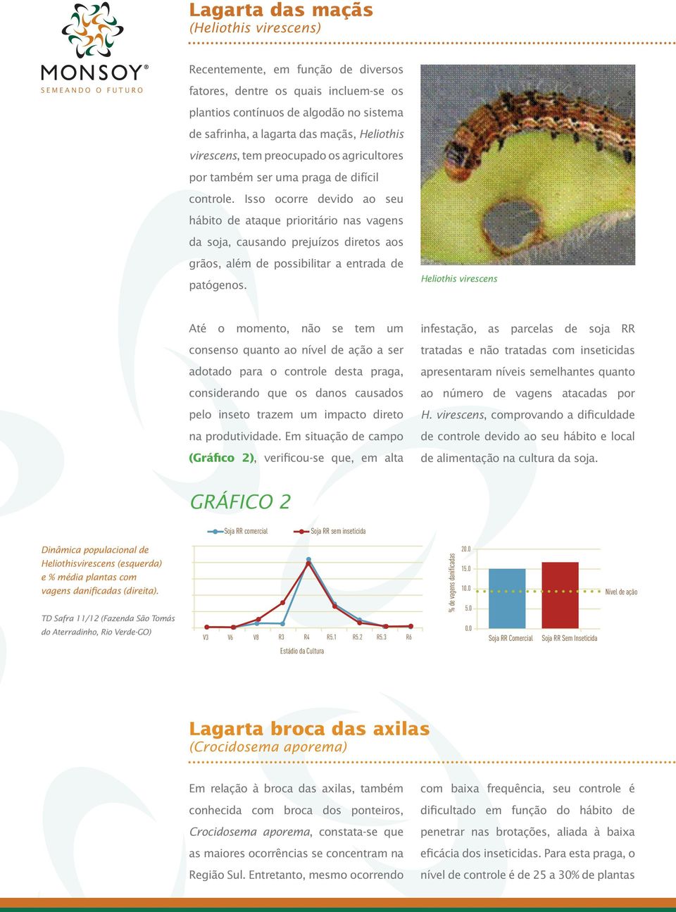 Isso ocorre devido ao seu hábito de ataque prioritário nas vagens da soja, causando prejuízos diretos aos grãos, além de possibilitar a entrada de patógenos.