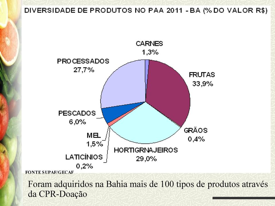 Bahia mais de 100 tipos