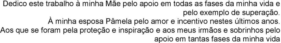 À minha esposa Pâmela pelo amor e incentivo nestes últimos anos.