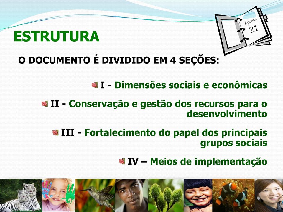 dos recursos para o desenvolvimento III - Fortalecimento