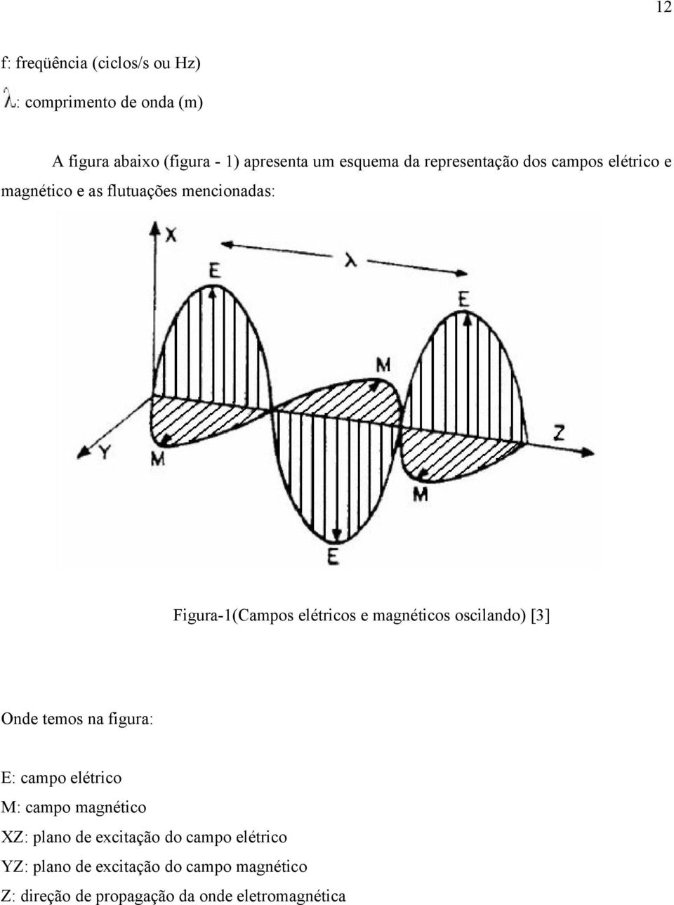 elétricos e magnéticos oscilando) [3] Onde temos na figura: E: campo elétrico M: campo magnético XZ: plano