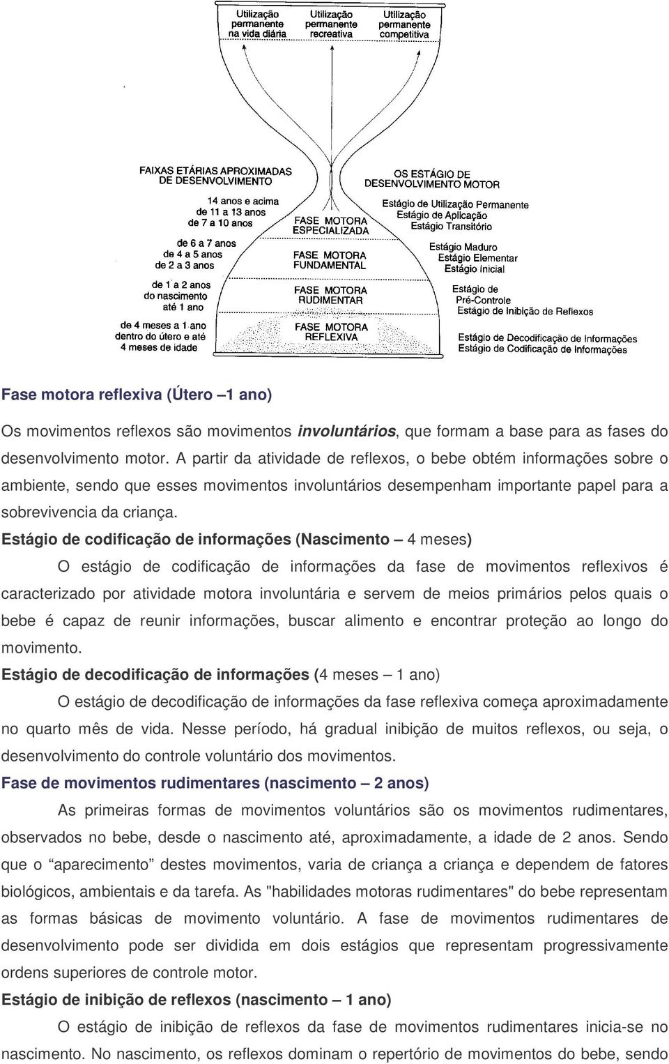 Estágio de codificação de informações (Nascimento 4 meses) O estágio de codificação de informações da fase de movimentos reflexivos é caracterizado por atividade motora involuntária e servem de meios