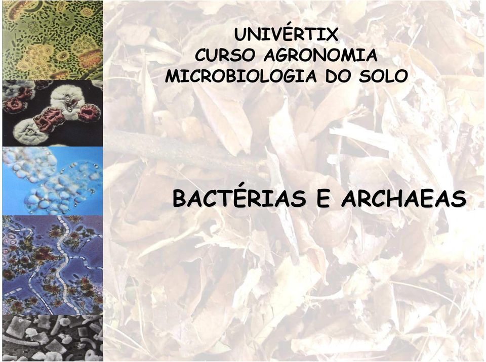 MICROBIOLOGIA DO