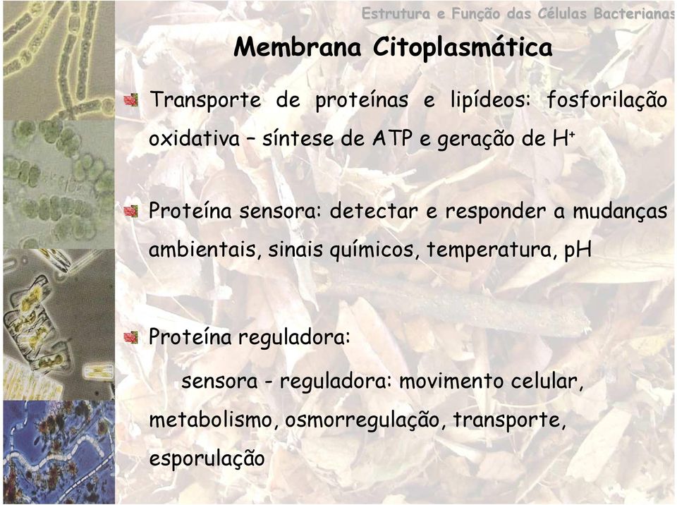 detectar e responder a mudanças ambientais, sinais químicos, temperatura, ph Proteína