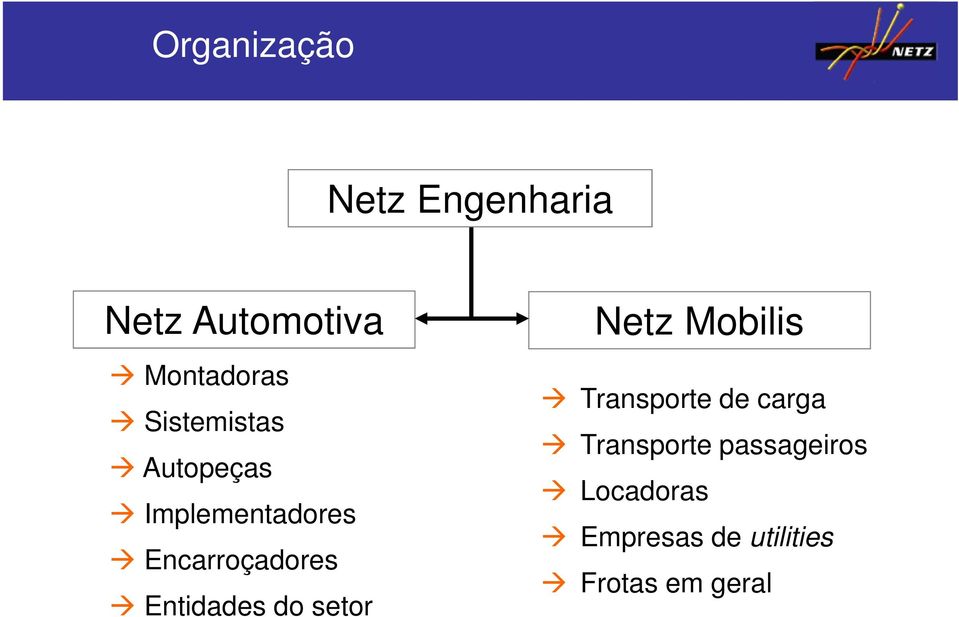 Entidades do setor Netz Mobilis Transporte de carga