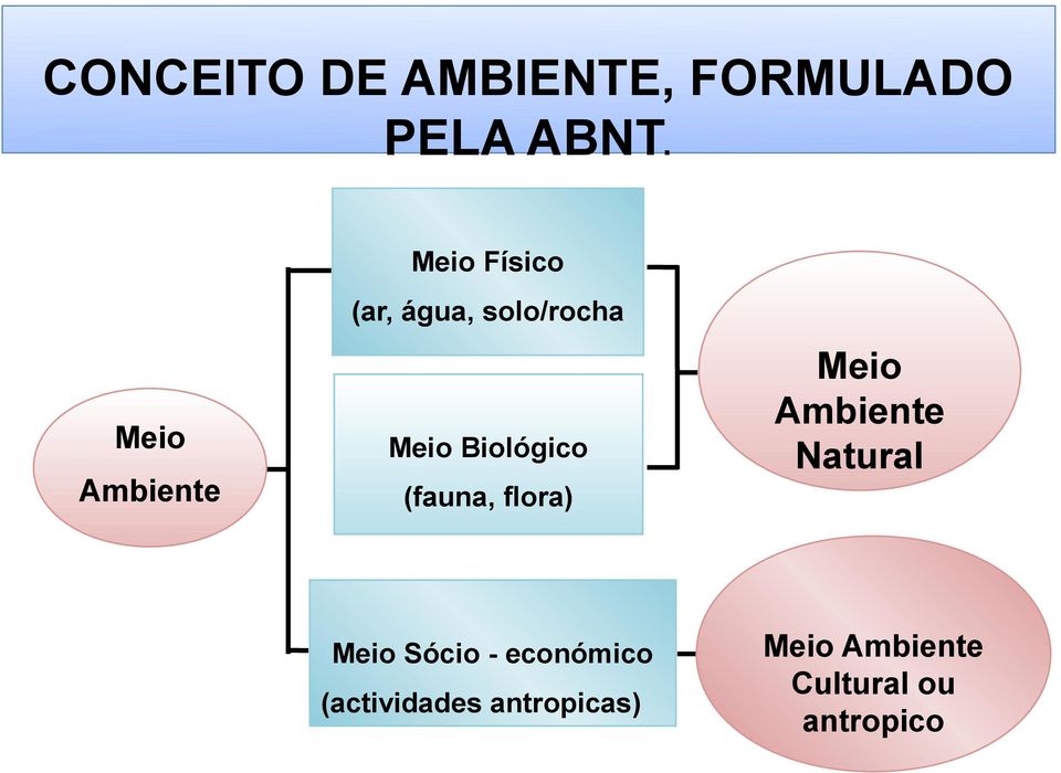 Ambiente (fauna, flora) Meio Sócio - económico