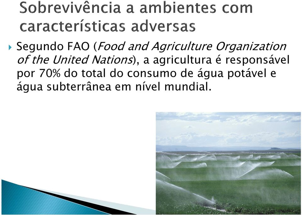 agricultura é responsável por 70% do total