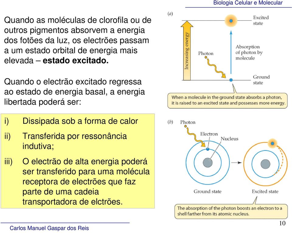 Quando o electrão excitado regressa ao estado de energia basal, a energia libertada poderá ser: i) Dissipada sob a forma de