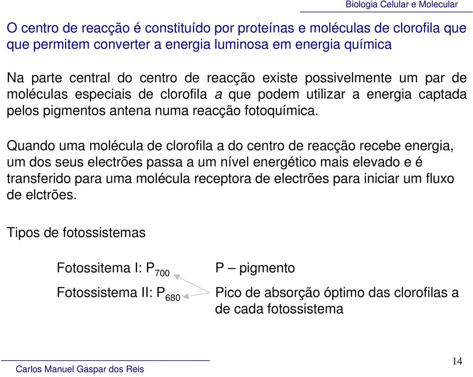 Quando uma molécula de clorofila a do centro de reacção recebe energia, um dos seus electrões passa a um nível energético mais elevado e é transferido para uma molécula