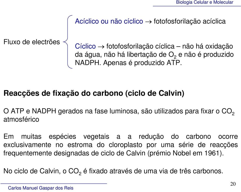 Reacções de fixação do carbono (ciclo de Calvin) O ATP e NADPH gerados na fase luminosa, são utilizados para fixar o CO 2 atmosférico Em muitas