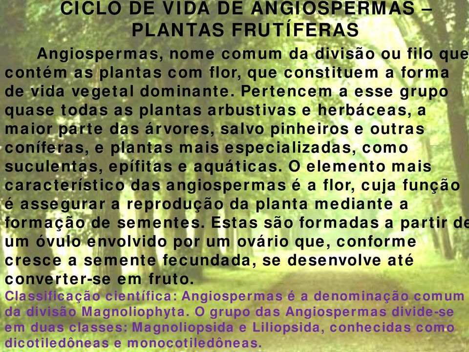 aquáticas. O elemento mais característico das angiospermas é a flor, cuja função é assegurar a reprodução da planta mediante a formação de sementes.