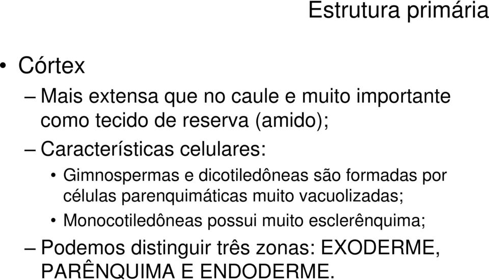 dicotiledôneas são formadas por células parenquimáticas muito vacuolizadas;