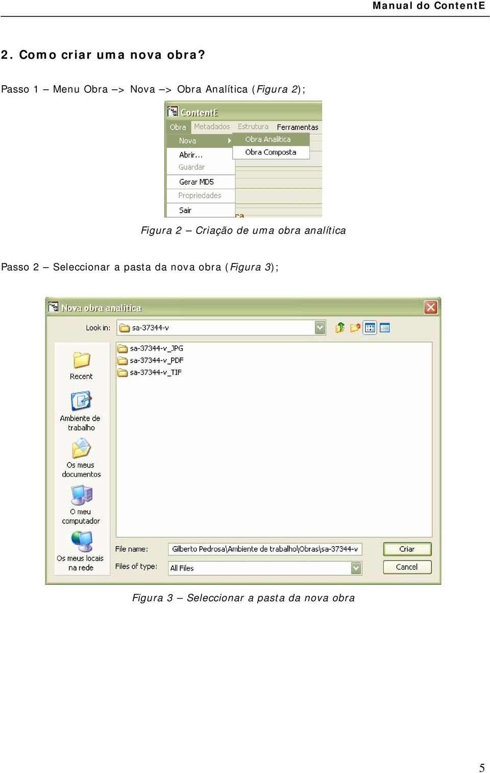 Figura 2 Criação de uma obra analítica Passo 2