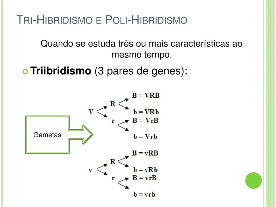 características ao mesmo tempo.