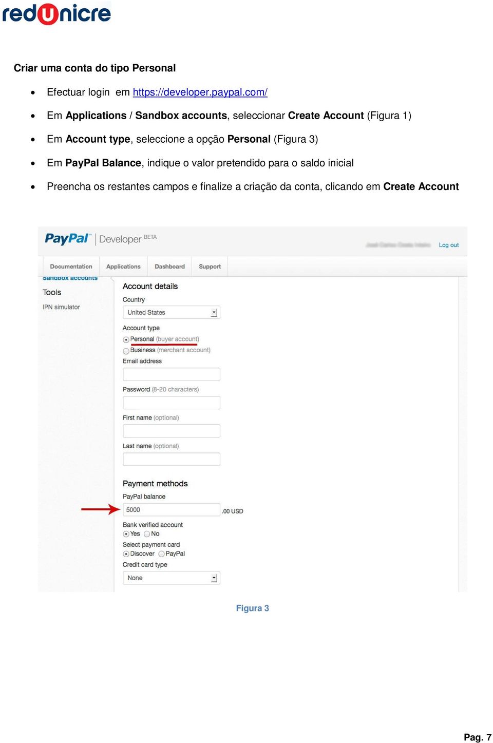 type, seleccione a opção Personal (Figura 3) Em PayPal Balance, indique o valor pretendido