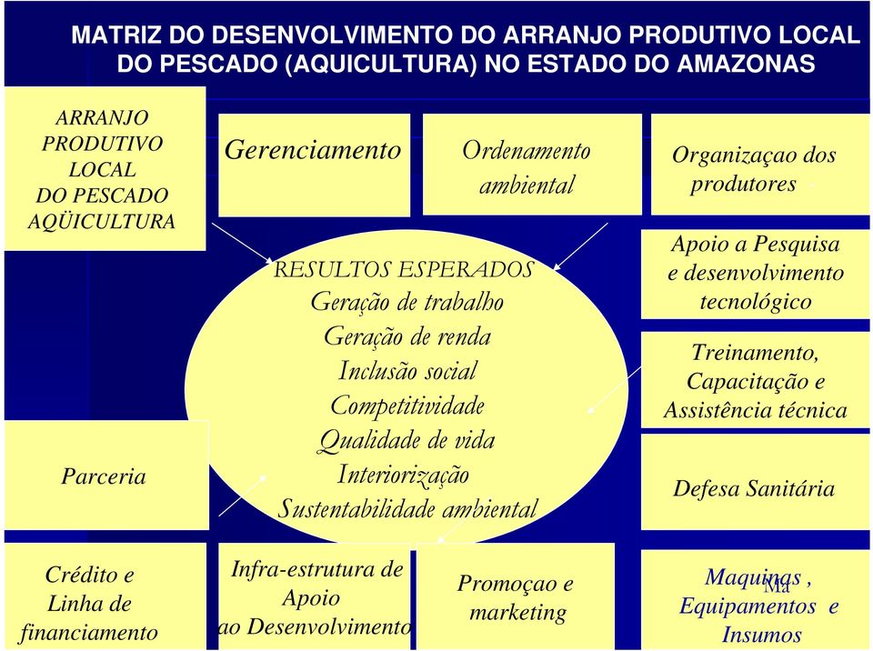 Interiorização Sustentabilidade ambiental Organizaçao dos produtores - Apoio a Pesquisa e desenvolvimento tecnológico Treinamento, Capacitação e