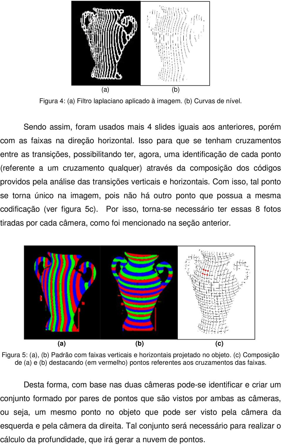 pela análise das transições verticais e horizontais. Com isso, tal ponto se torna único na imagem, pois não há outro ponto que possua a mesma codificação (ver figura 5c).