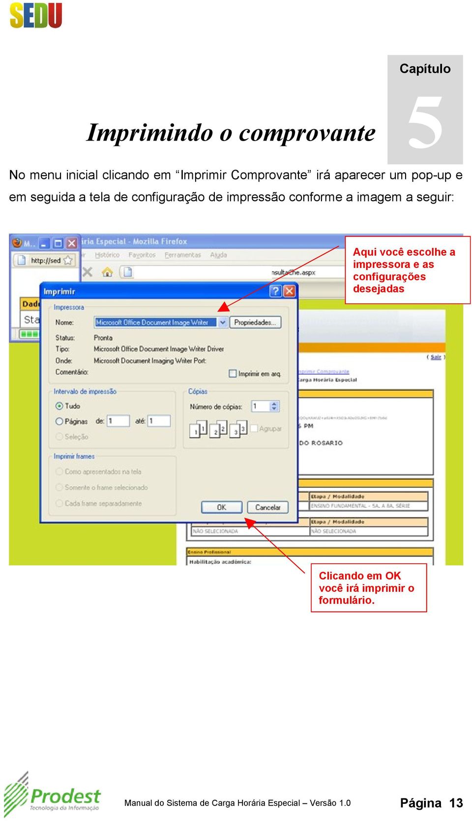 seguir: Aqui você escolhe a impressora e as configurações desejadas Clicando em OK você