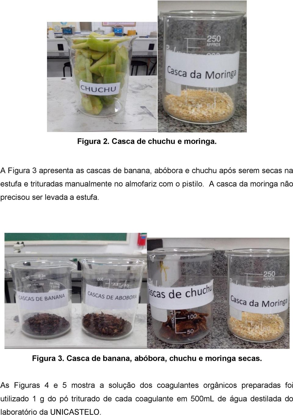 almofariz com o pistilo. A casca da moringa não precisou ser levada a estufa. Figura 3.