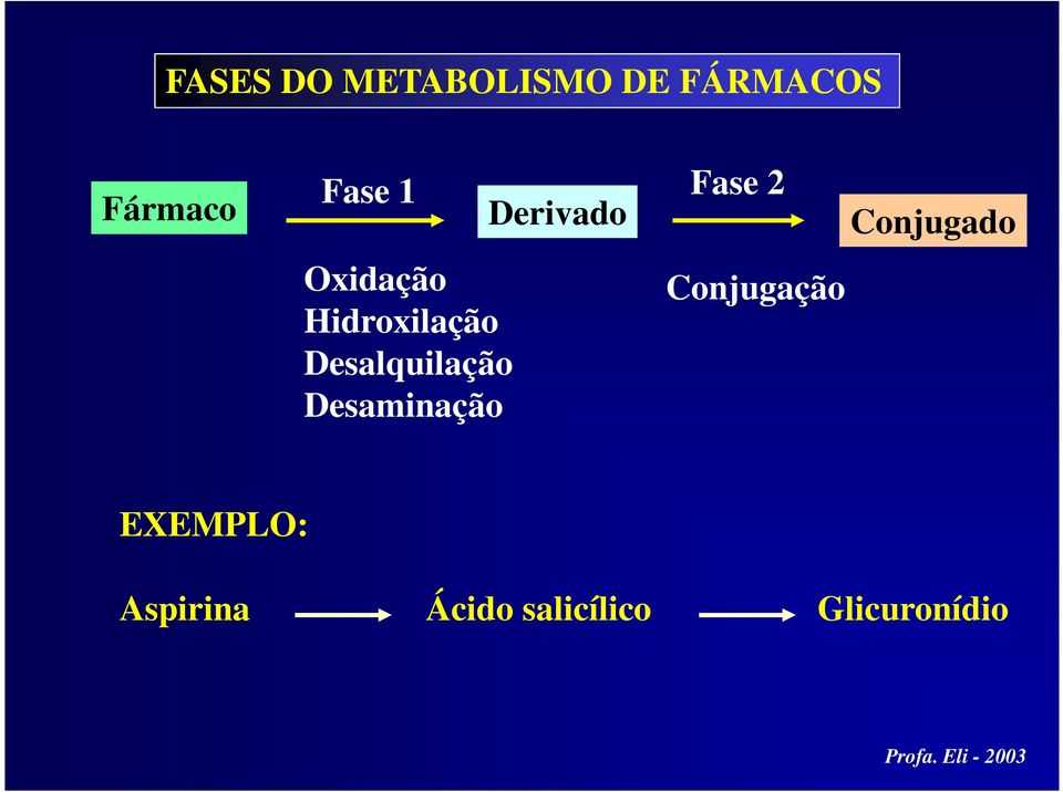 Derivado Fase 2 Conjugação Conjugado EXEMPLO: