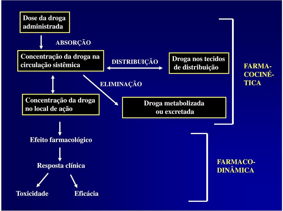 Concentração da droga no local de ação Droga metabolizada ou excretada