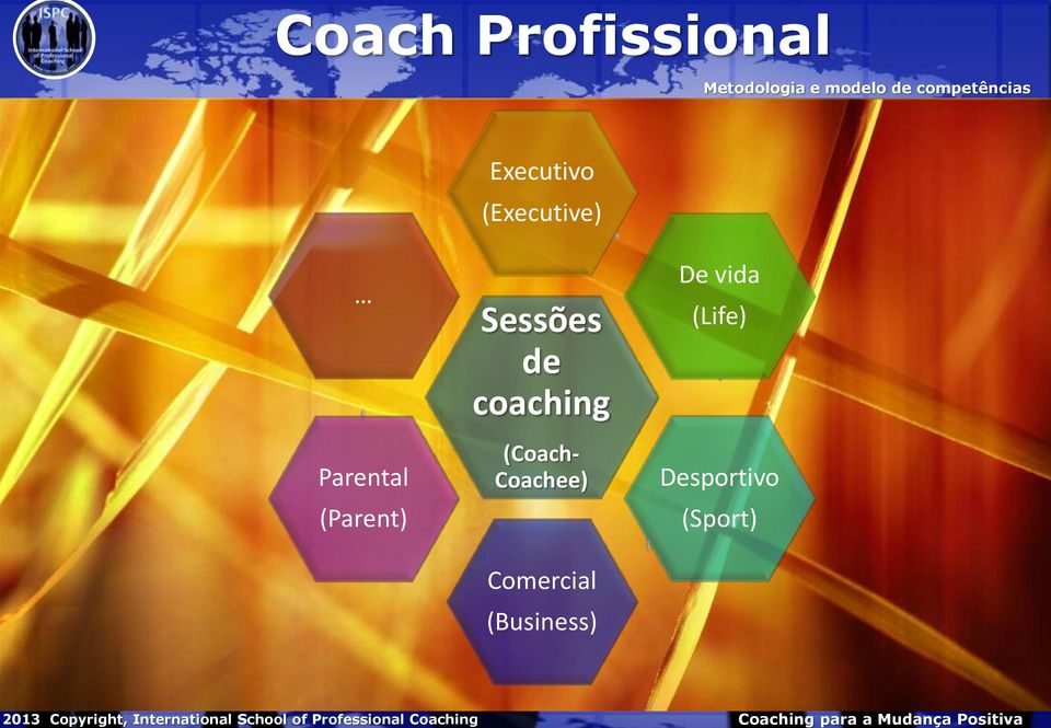 Executivo (Executive) Parental (Parent) Sessões de coaching