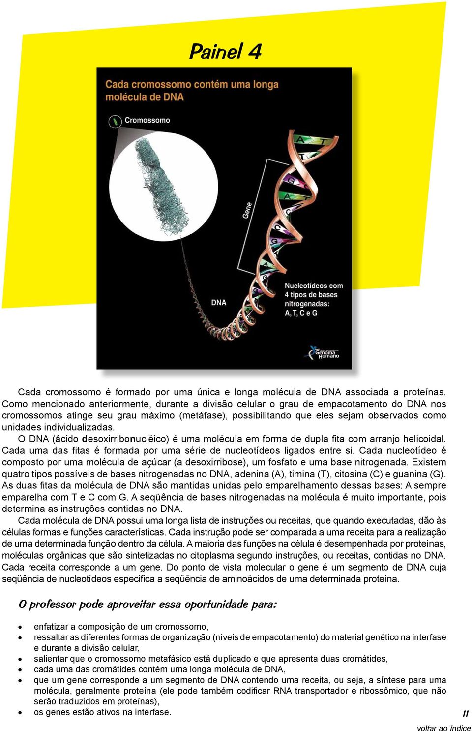 individualizadas. O DNA (ácido desoxirribonucléico) é uma molécula em forma de dupla fita com arranjo helicoidal. Cada uma das fitas é formada por uma série de nucleotídeos ligados entre si.