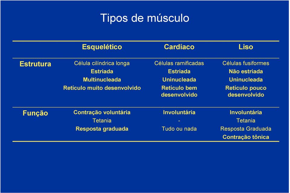 muito desenvolvido Retículo bem desenvolvido Retículo pouco desenvolvido Função Contração voluntária