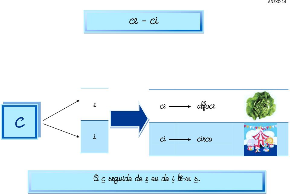 circo O c seguido