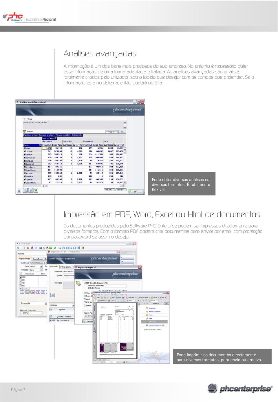 Pode obter diversas análises em diversos formatos. É totalmente flexível.