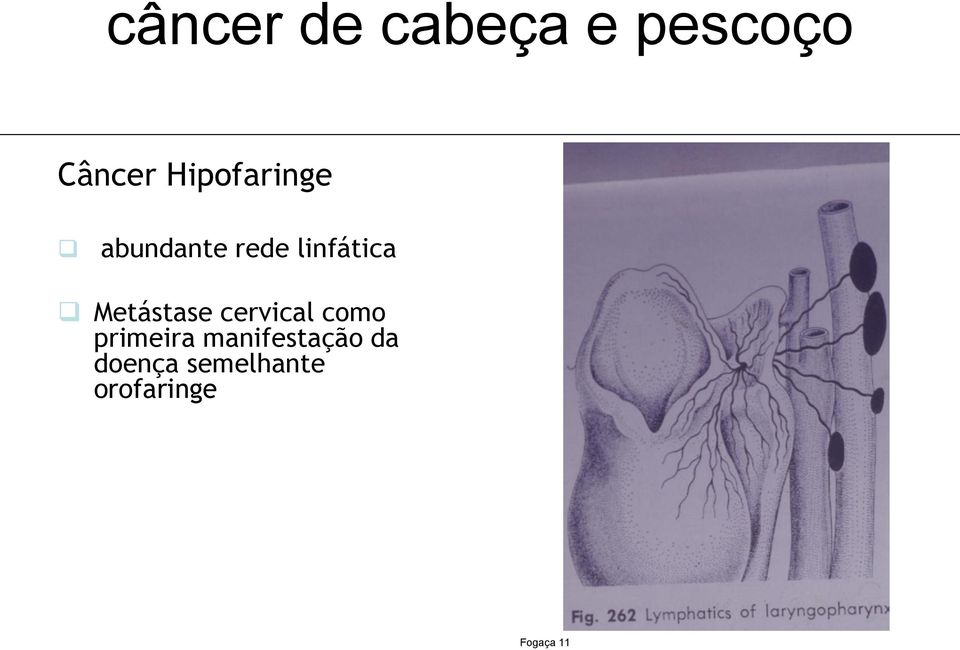 cervical como primeira