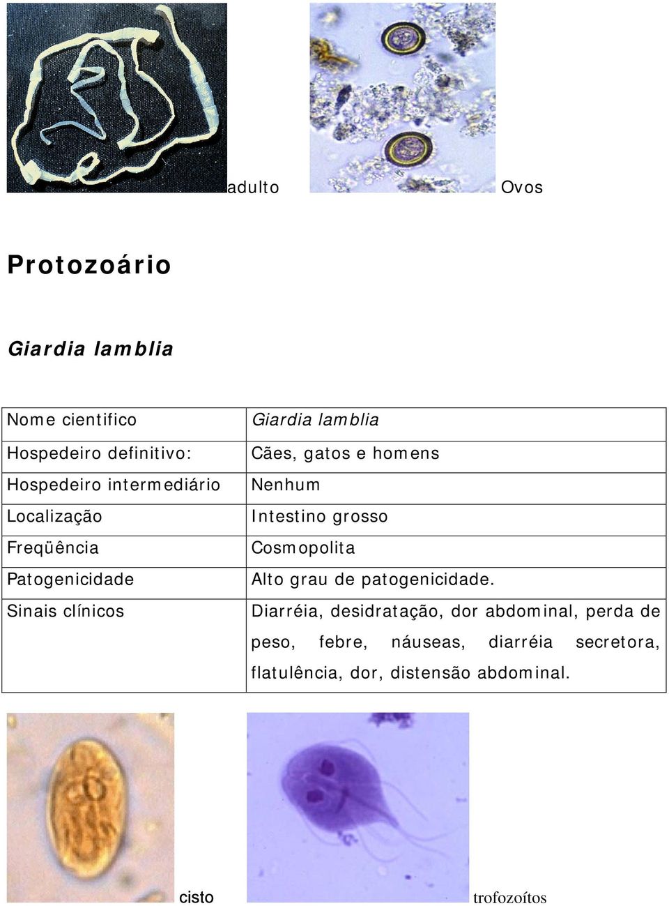 desidratação, dor abdominal, perda de peso, febre, náuseas,