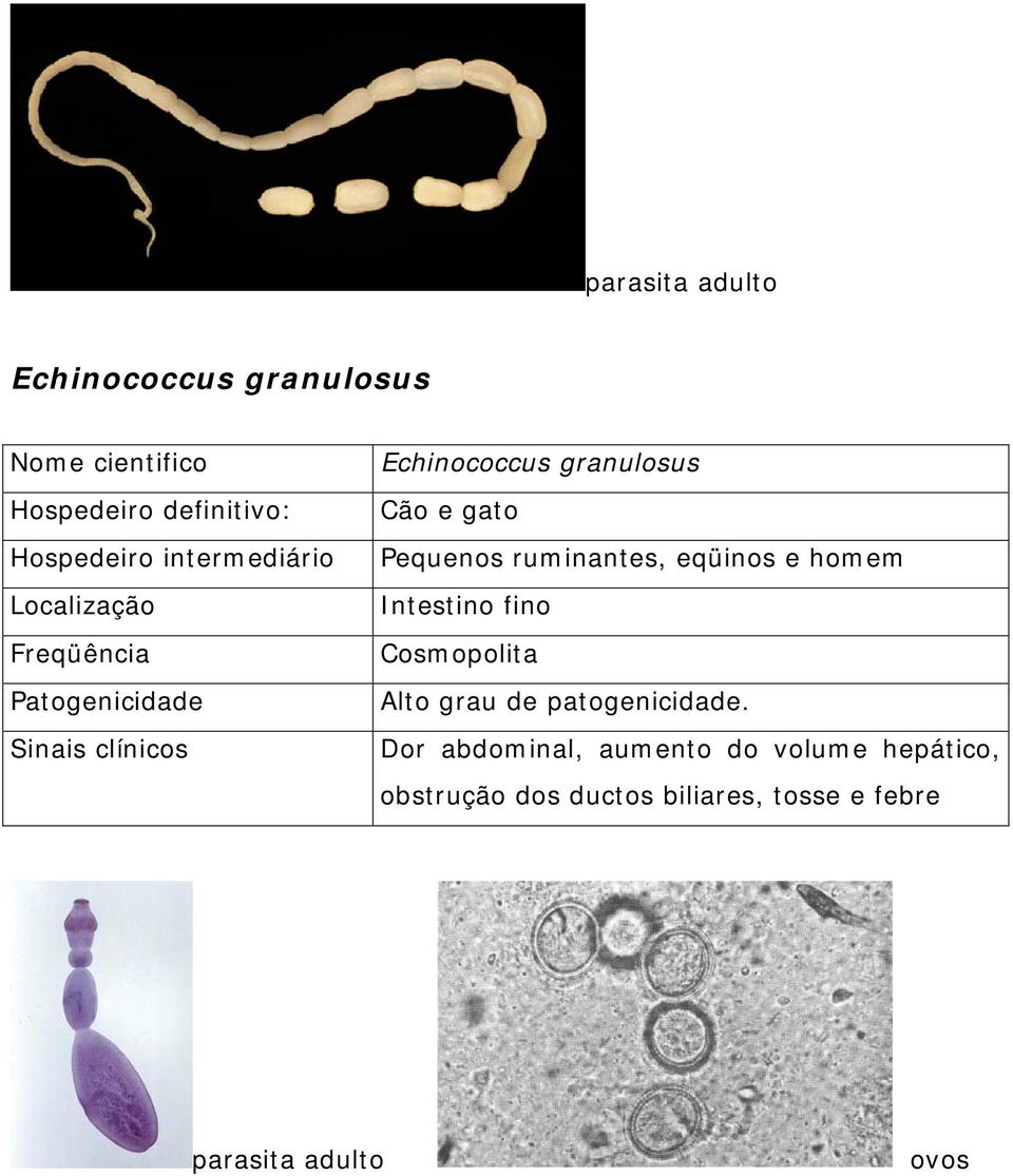 abdominal, aumento do volume hepático, obstrução dos