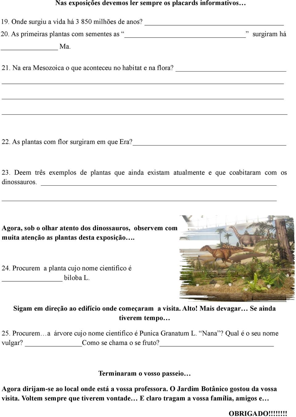 Agora, sob o olhar atento dos dinossauros, observem com muita atenção as plantas desta exposição. 24. Procurem a planta cujo nome cientifico é biloba L.