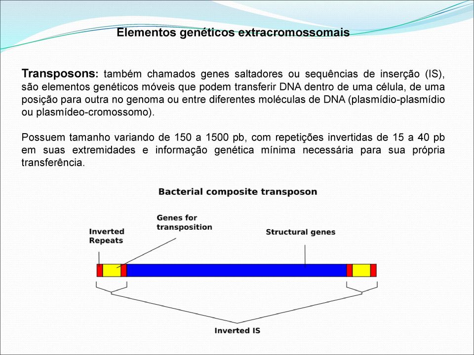 diferentes moléculas de DNA (plasmídio-plasmídio ou plasmídeo-cromossomo).