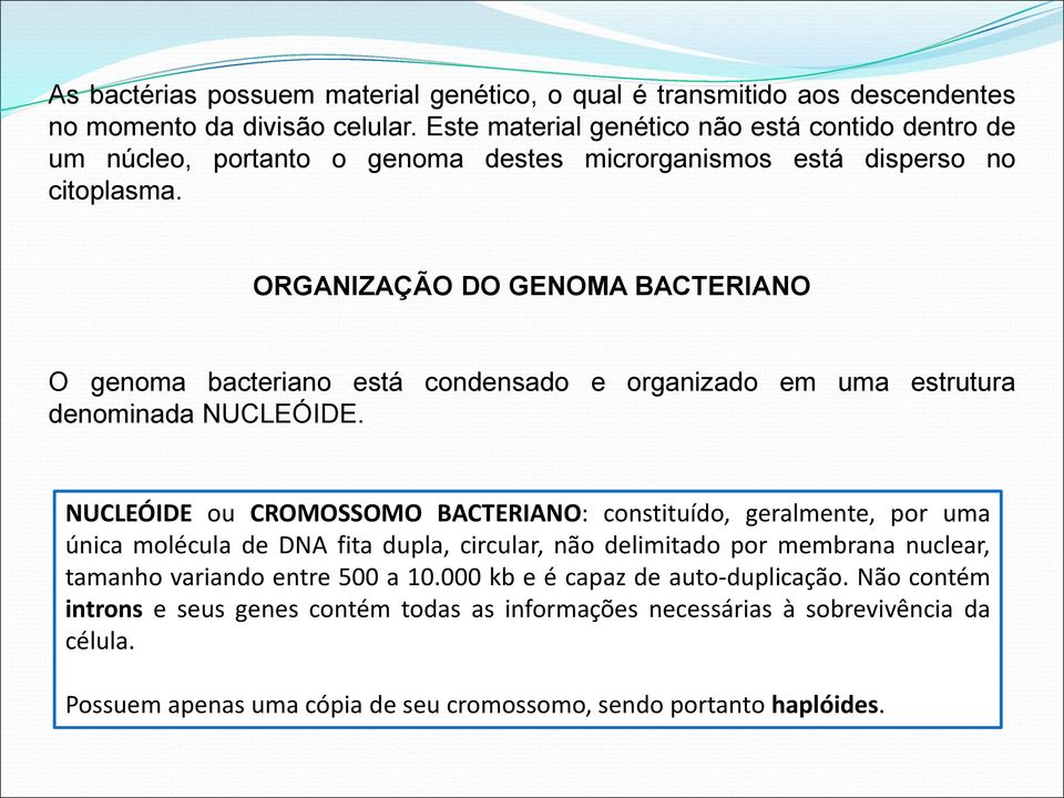 ORGANIZAÇÃO DO GENOMA BACTERIANO O genoma bacteriano está condensado e organizado em uma estrutura denominada NUCLEÓIDE.