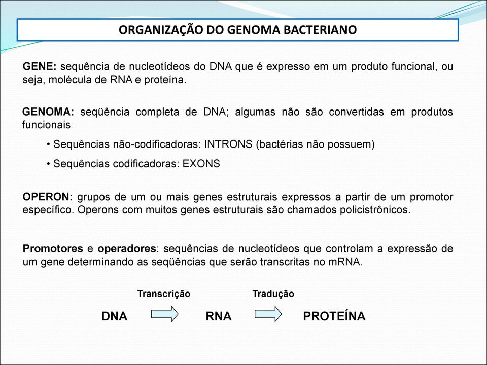 codificadoras: EXONS OPERON: grupos de um ou mais genes estruturais expressos a partir de um promotor específico.